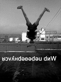 :  , 33 ;  :    ,  , ,  ,  , ,   ICQ,   